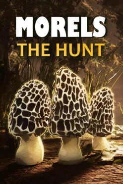 Cover zu MORELS - THE HUNT