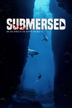 Cover zu SUBMERSED