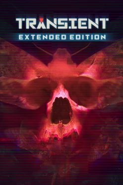 Cover zu TRANSIENT