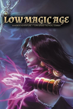 Cover zu LOW MAGIC AGE