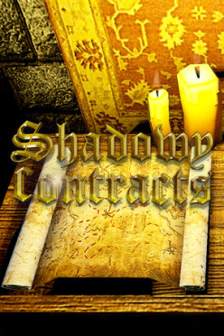 Cover zu Shadowy Contracts