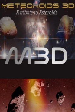 Cover zu METEOROIDS 3D