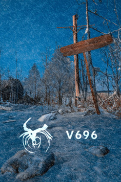 Cover zu V696
