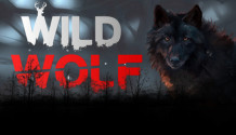 Cover zu Wild Wolf