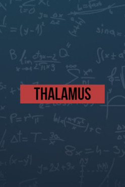 Cover zu Thalamus