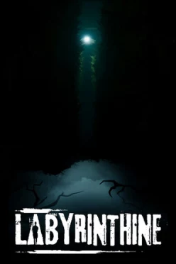 Cover zu LABYRINTHINE