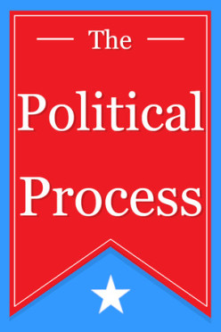 Cover zu The Political Process