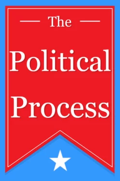 Cover zu THE POLITICAL PROCESS