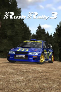 Cover zu RUSH RALLY 3