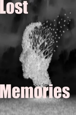 Cover zu LOST MEMORIES