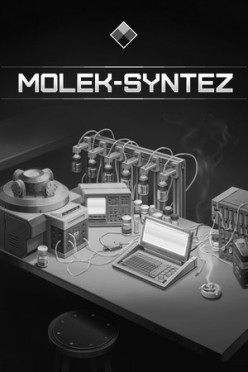 Cover zu MOLEK-SYNTEZ