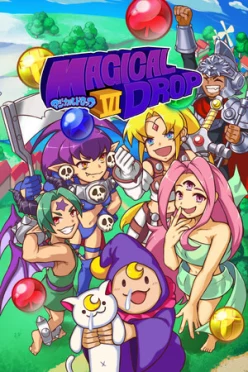Cover zu MAGICAL DROP VI