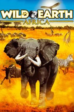 Cover zu WILD EARTH - AFRICA