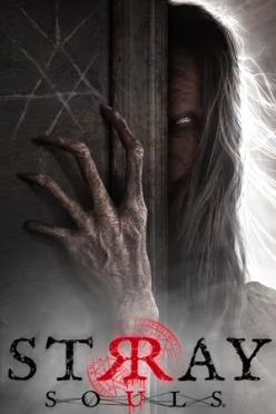 Cover zu STRAY SOULS