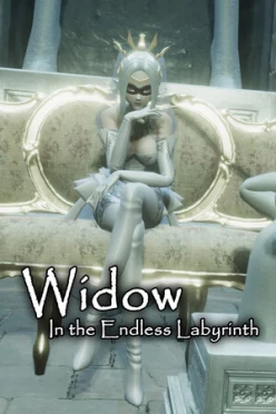 Cover zu WIDOW IN THE ENDLESS LABYRINTH