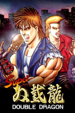 Cover zu Super Double Dragon