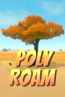 Cover zu POLY ROAM