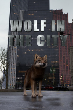 Cover zu WOLF IN THE CITY