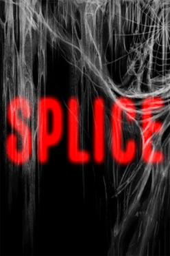 Cover zu SPLICE