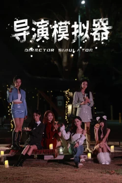 Cover zu DIRECTOR SIMULATOR
