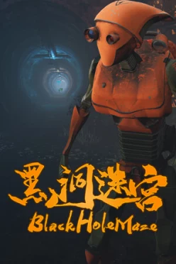 Cover zu BLACKHOLEMAZE