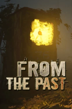 Cover zu FROM THE PAST