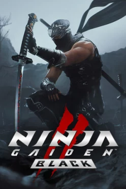 Cover zu NINJA GAIDEN 2 BLACK