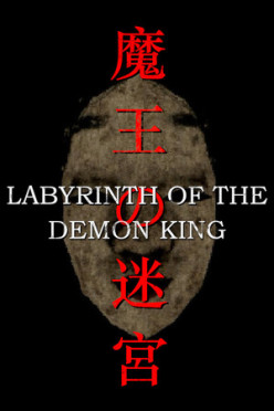 Cover zu Labyrinth Of The Demon King