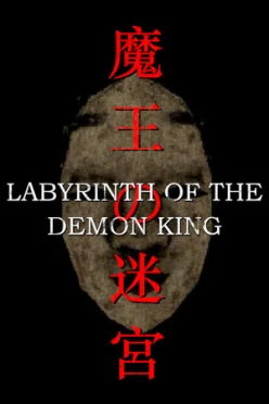 Cover zu LABYRINTH OF THE DEMON KING