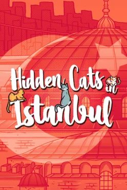 Cover zu HIDDEN CATS IN ISTANBUL