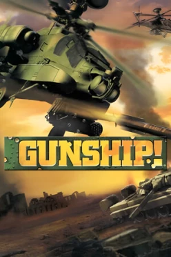 Cover zu GUNSHIP!