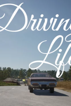 Cover zu DRIVING LIFE