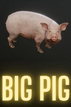 Cover zu PIH (BIG PIG)