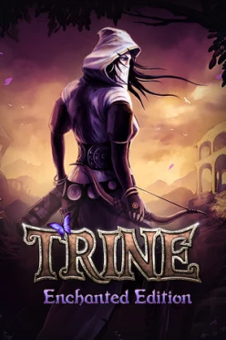 Cover zu TRINE