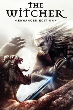 Cover zu THE WITCHER