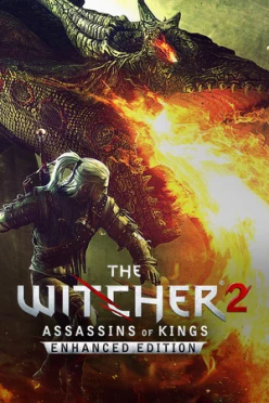Cover zu THE WITCHER 2 - ASSASSINS OF KINGS