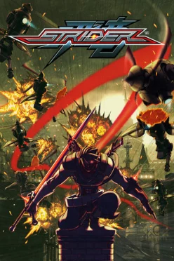 Cover zu STRIDER