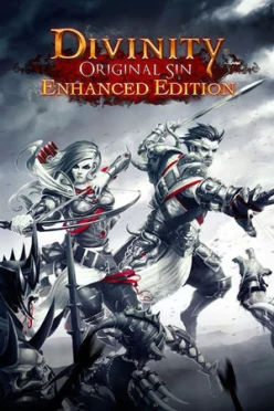 Cover zu DIVINITY - ORIGINAL SIN