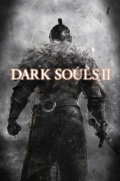 Cover zu DARK SOULS 2