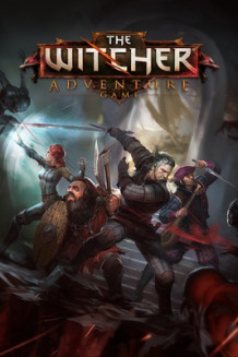 Cover zu The Witcher Adventure Game