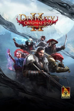 Cover zu DIVINITY - ORIGINAL SIN 2