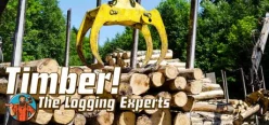 Cover zu FORSTMASCHINEN - PROFIS IM WALD