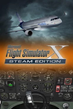 Cover zu FLIGHT SIMULATOR X