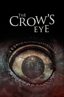 Cover zu THE CROW'S EYE