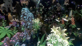 s_6.webp