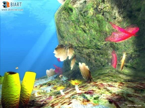 s_2.webp