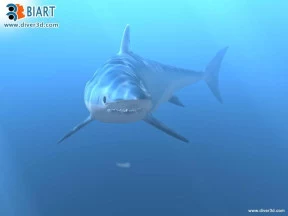 s_3.webp