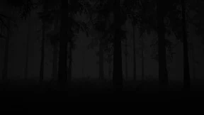 s_4.webp