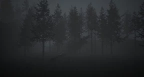 s_6.webp