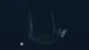 s_1.webp